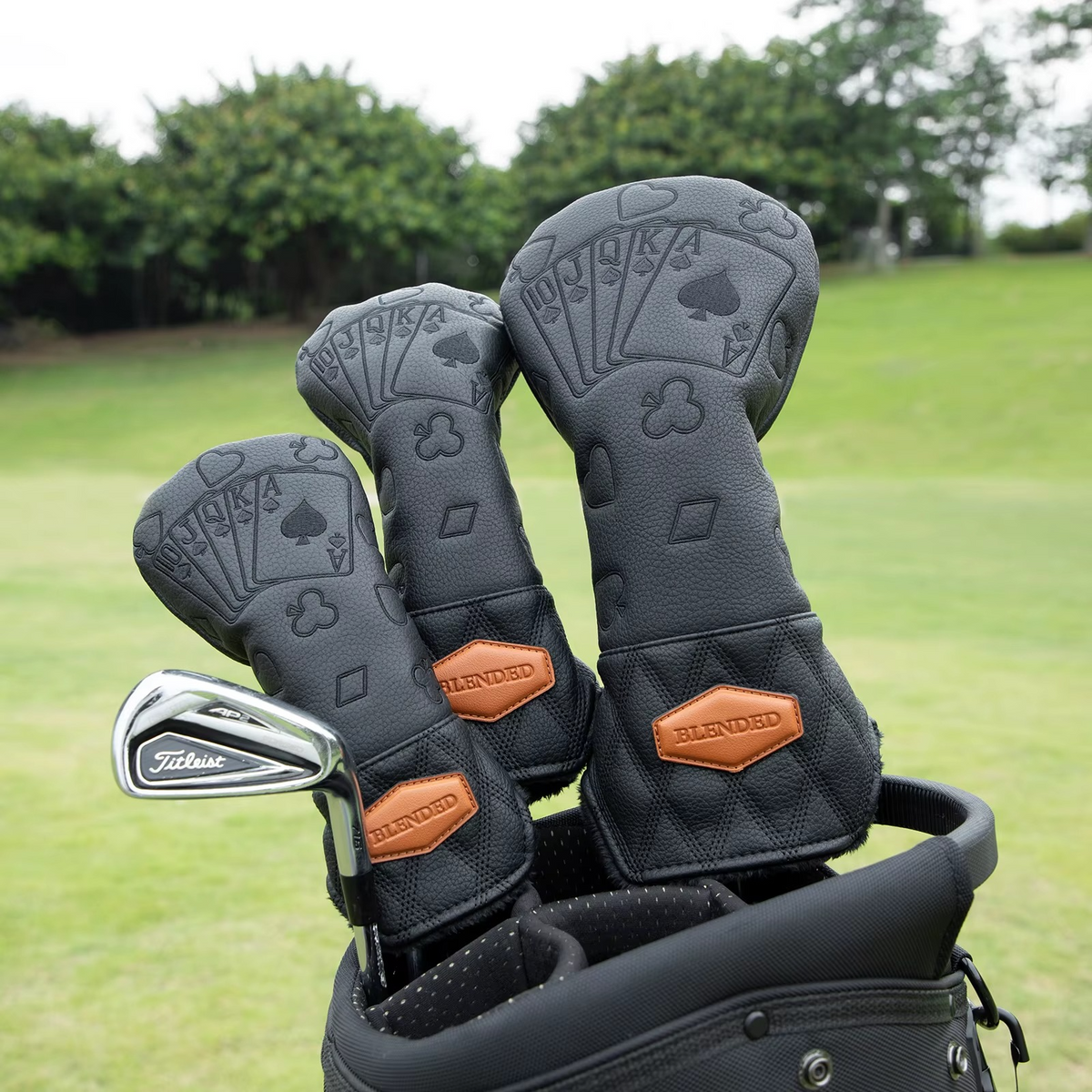 Blackjack Royal Headcover